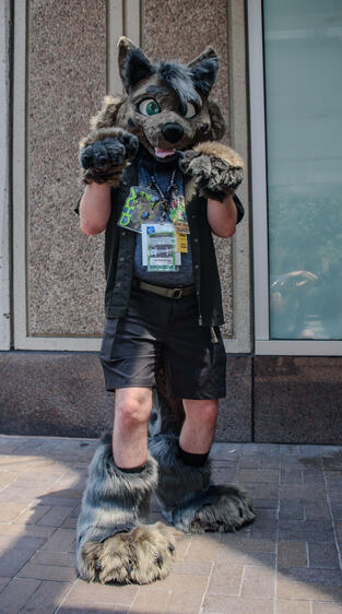 Kai Partial - July 2026